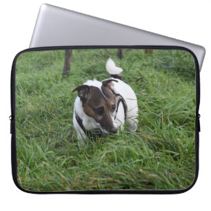 Capo von Oppenheim Jack Russell Terrier, Dog Laptopschutzhülle