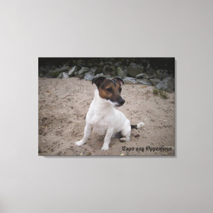 Capo von Oppenheim, Jack Russell Terrier, Dog Leinwanddruck