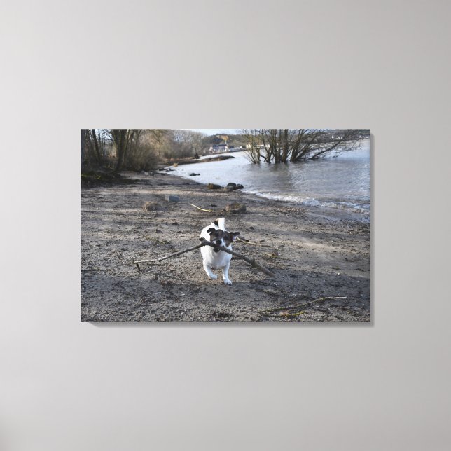 Capo von Oppenheim, Jack Russell Terrier Dog Leinwanddruck (Vorderseite)