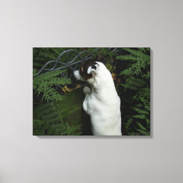 Capo von Oppenheim, Jack Russell Terrier Dog Leinwanddruck