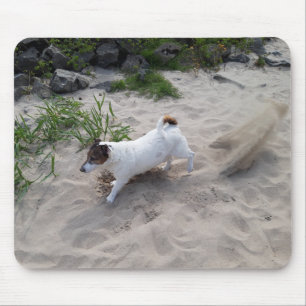 Capo von Oppenheim Jack Russell Terrier, Dog Mousepad