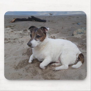 Capo von Oppenheim Jack Russell Terrier, Dog Mousepad