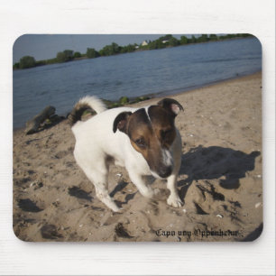 Capo von Oppenheim Jack Russell Terrier, Dog Mousepad