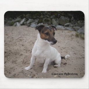 Capo von Oppenheim Jack Russell Terrier, Dog Mousepad