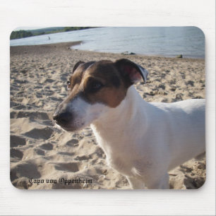 Capo von Oppenheim Jack Russell Terrier, Dog Mousepad