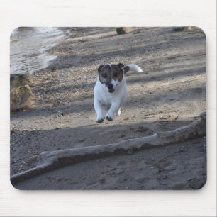 Capo von Oppenheim Jack Russell Terrier, Dog Mousepad
