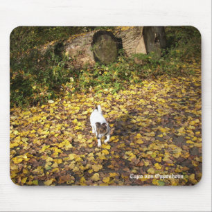 Capo von Oppenheim Jack Russell Terrier, Dog Mousepad