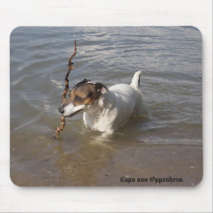 Capo von Oppenheim Jack Russell Terrier, Dog Mousepad