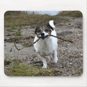 Capo von Oppenheim Jack Russell Terrier, Dog Mousepad