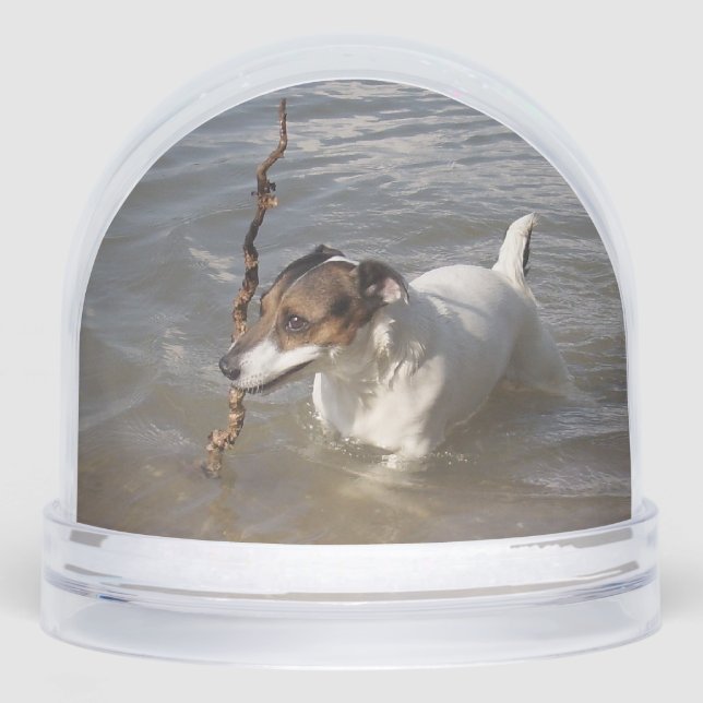 Capo von Oppenheim, Jack Russell Terrier Dog Schneekugeln (Vorderseite)