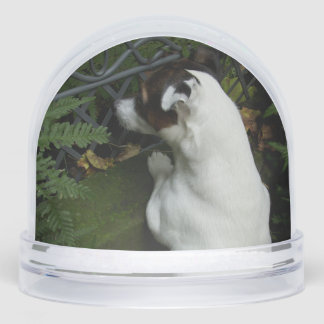 Capo von Oppenheim, Jack Russell Terrier Dog Schneekugeln