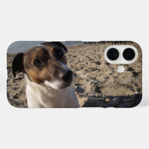 Capo von Oppenheim Jack Russell Terrier, Dog title_seo2