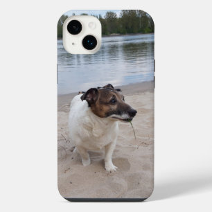 Capo von Oppenheim, Jack Russell Terrier Hund iPhone 14 Plus Hülle