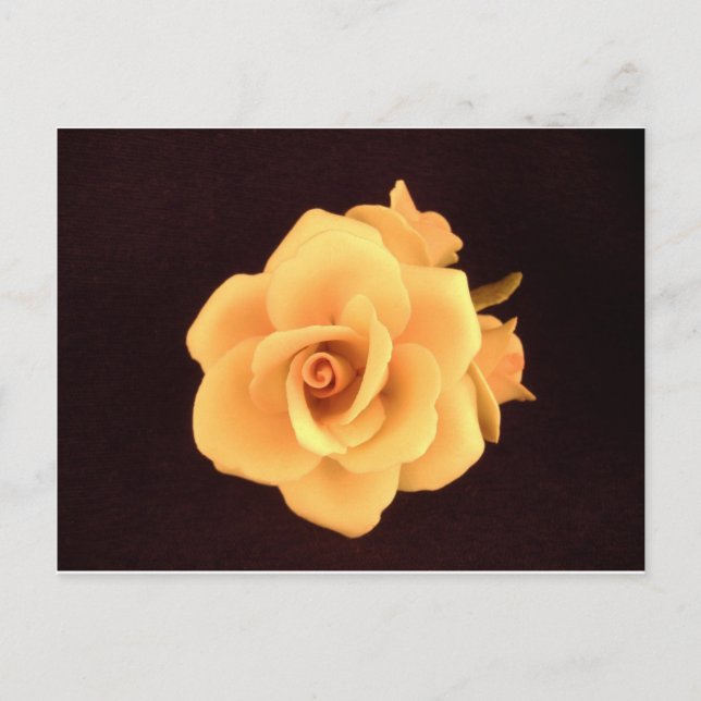 Capodimonte Rose Postcard. Postkarte (Vorderseite)