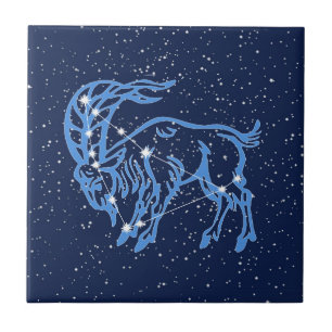 Capricorn Constellation and Sun Sign with Stars Fliese