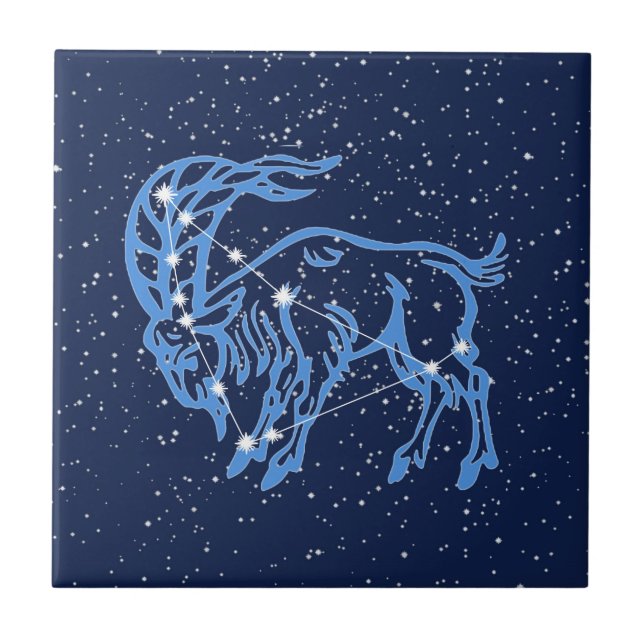 Capricorn Constellation and Sun Sign with Stars Fliese (Vorderseite)