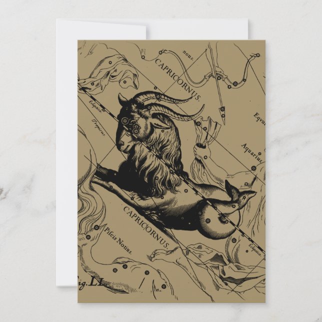 Capricorn Constellation Hevelius 1690 auf Taupe (Vorderseite)