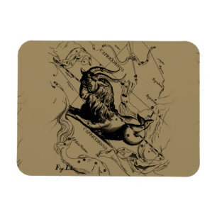 Capricorn Constellation Hevelius 1690 auf Taupe Magnet