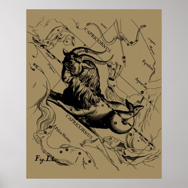 Capricorn Constellation Hevelius 1690 auf Taupe Poster (Vorne)