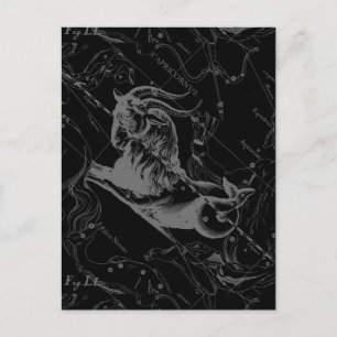 Capricorn Constellation Map Hevelius Graving Postkarte