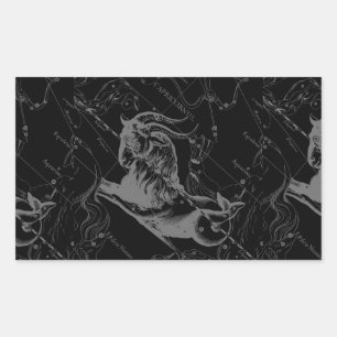 Capricorn Constellation Map Hevelius Graving Rechteckiger Aufkleber