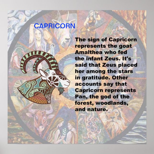 Capricorn-Herkunft Poster (Vorne)