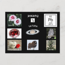 Capricorn Januar Geburtsmonat Postkarte