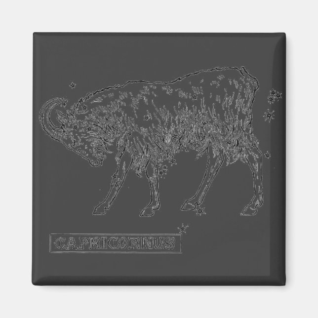 Capricorn Magnet (Vorne)