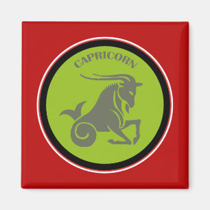 Capricorn Magnet