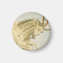 Capricorn, Zehnte astrologische Zodiaka-Zeichen Magnet