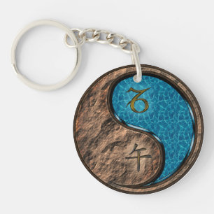Capricorne et Cheval de l'eau