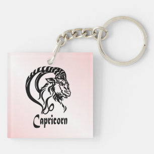 Capricorne la Chèvre de Mer Zodiaque