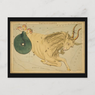 Capricornus (Capricorn) Postkarte