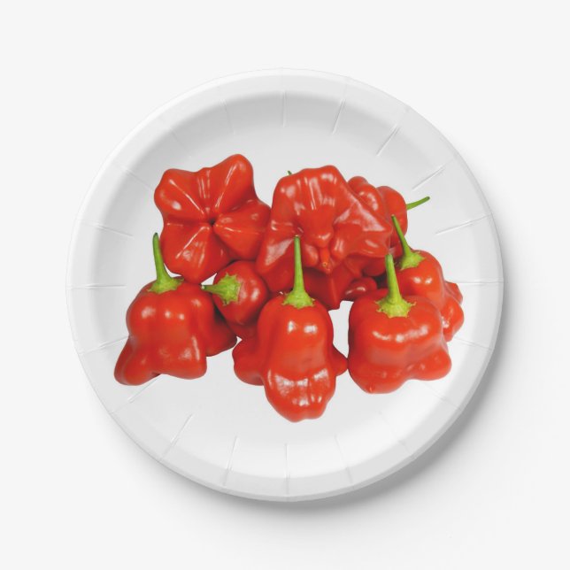 Capsicum Chinense Chili Paper Teller (Vorderseite)