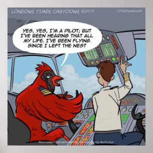 Captain Byrd Kardinal Pilot Flies Jet Funny Poster