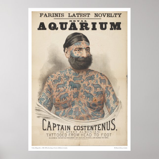 Captain Costentenus: Tattooot von Kopf bis Fuß Poster (Vorne)