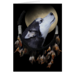 Capteur de rêve et Husky aux yeux bleus