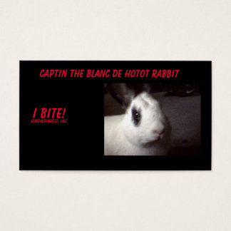 captin001, Captin Le Blanc De Hotot Rabbit, I ...
