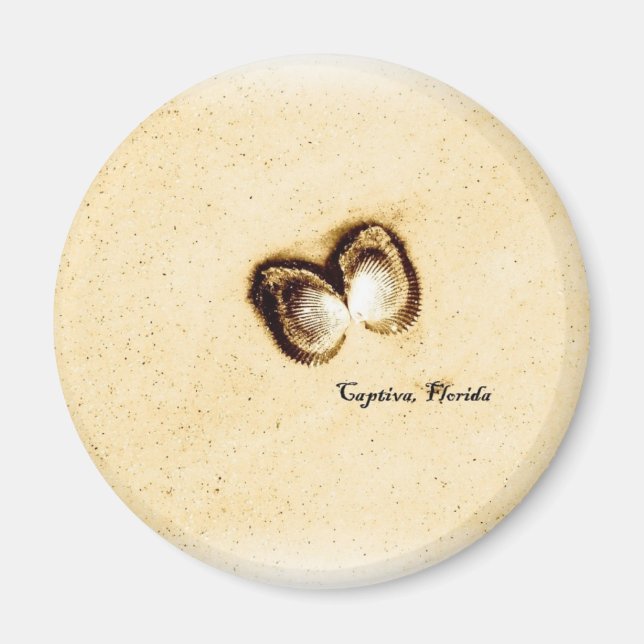 Captiva Muscheln Magnet (Vorne)