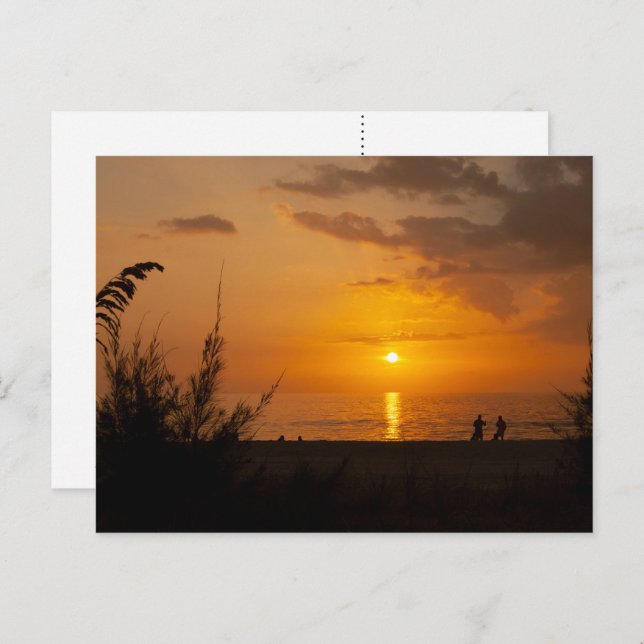 Captiva Sunset Postcard Postkarte (Vorne/Hinten)
