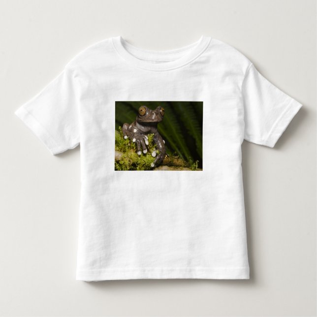 Captive Tapichalaca Tree Frog Hyloscirtus 3 Kleinkind T-shirt (Vorderseite)