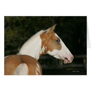 Capture d'écran du cheval de peinture 2