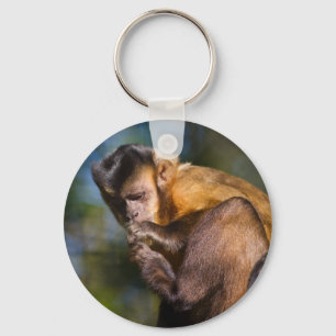 Capuchin-Affe Schlüsselanhänger