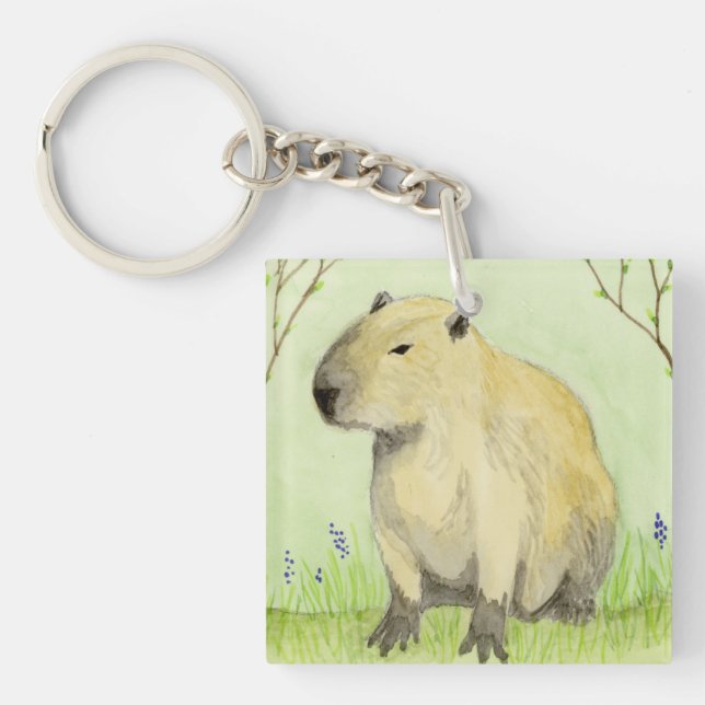 Capybara (Devant)