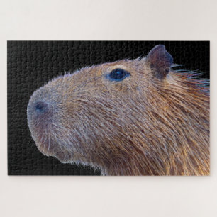 Capybara
