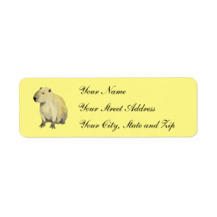 Capybara