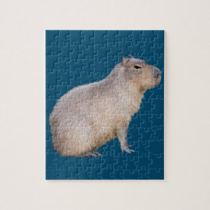 Capybara