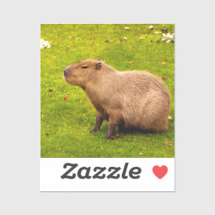 Capybara Aufkleber