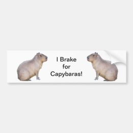 Capybara Autoaufkleber