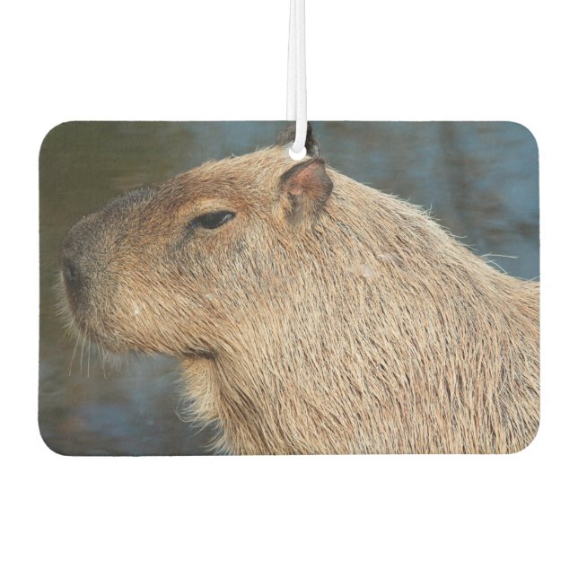 Capybara Autolufterfrischer (Vorderseite)